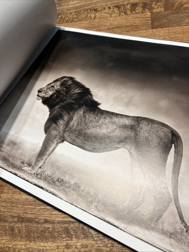 Nick Brandt A Shadow Falls - Bild 8 von 17
