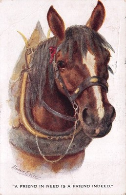 Horse A Friend inNeed is a Fiend Indeed c1916 Vintage Postcard