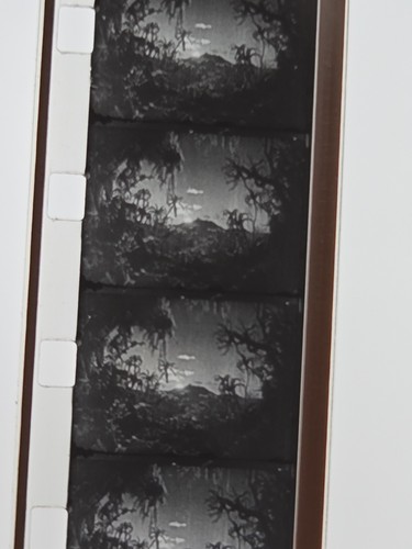 THE LOST WORLD - Wallace Berry - Blackhawk Films Super 8mm Sound B&W RAR - Bild 3 von 24