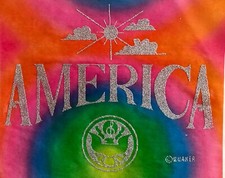 Original Vintage America USA Glitter Iron On Transfer