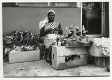 J.R. Beanie - Snapshot - PANAMA - 1950'S Silver Print - Central America - 2