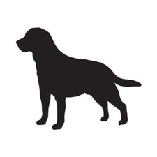 Labrador Terrier Dog - Vinyl Decal Sticker - Multiple Color  Sizes - ebn1974