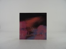 CAPTAIN COMATOSE UP IN FLAMES (313) 10 Track Promo CD Album including Card Sleev