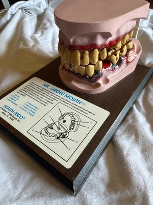 HEALTH EDCO MR GROSS MOUTH