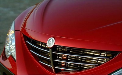 Radiator Front Grill  For 06 07 Ssangyong Actyon (A-TYPE)