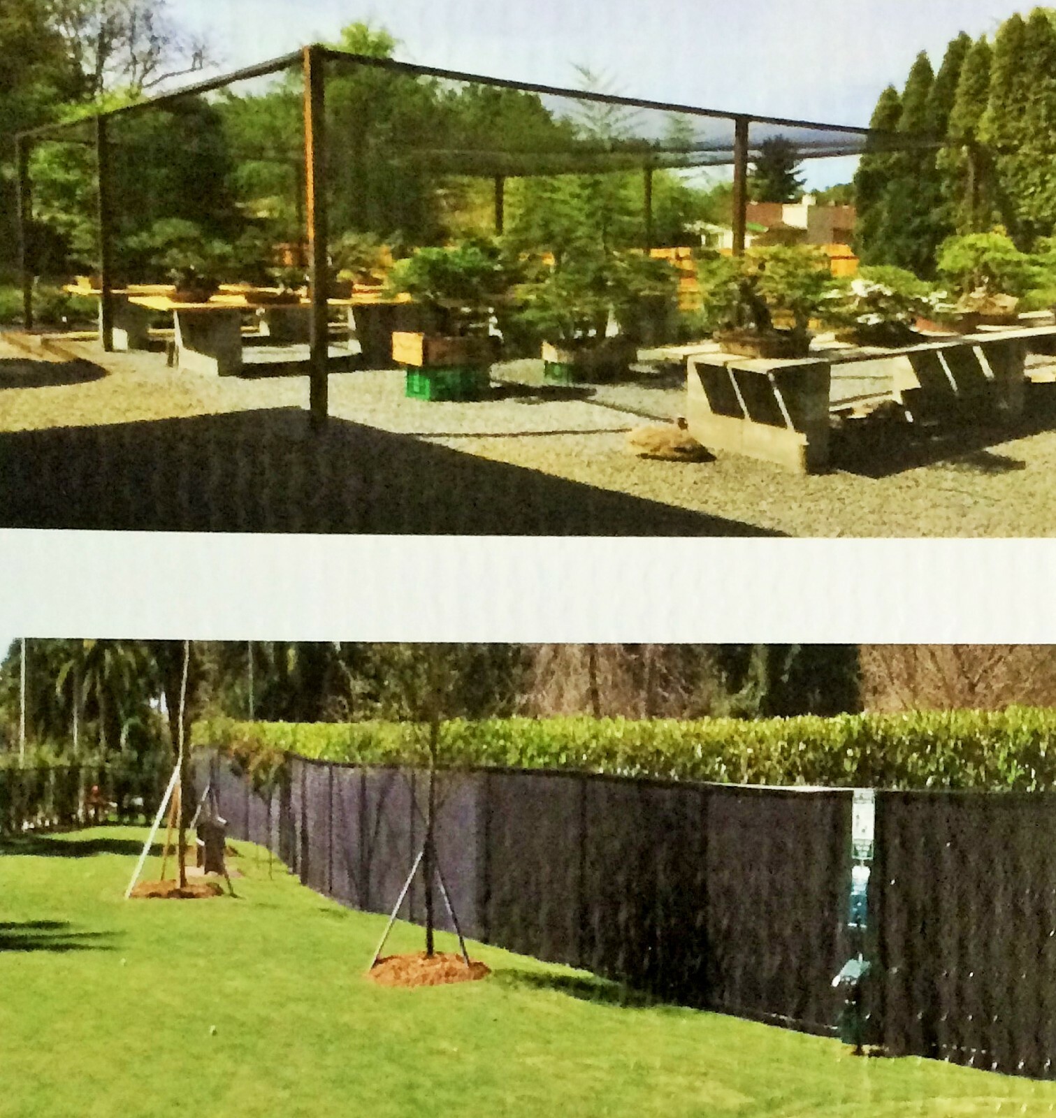 Picture 3 of 3