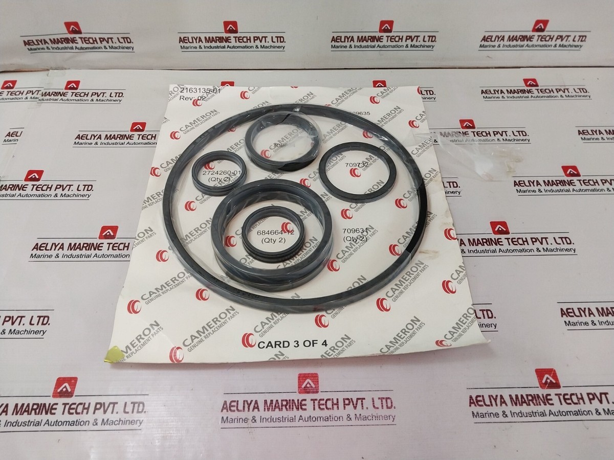 【プラトーン】パッキン CAMERON 2163135-01 Bonnets Seal Repair Kit C143-644356-02 Rev 02