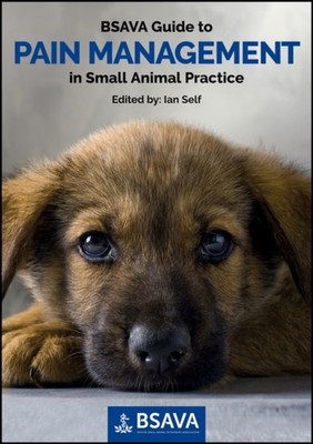 BSAVA Guide to Pain Management in Small Animal Practice (Paperback Book)