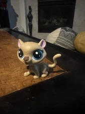 🌟Toys R Us Exclusive Littlest Pet Shop Sparkle Pets Duos LPS Brown Tiger Cat