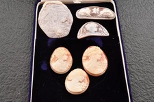 6 items , vintage shell cameo White and brown color (Total 216.5ct) with case.