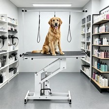 43. in Hydraulic Dog Grooming Table Professional Pet Grooming Table Up to 350 LB