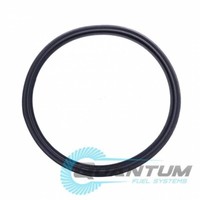 Qfs Kraftstoff Pumpe Tankabdichtung / Dichtung FüR Yamaha Raptor 700 (YFM700)