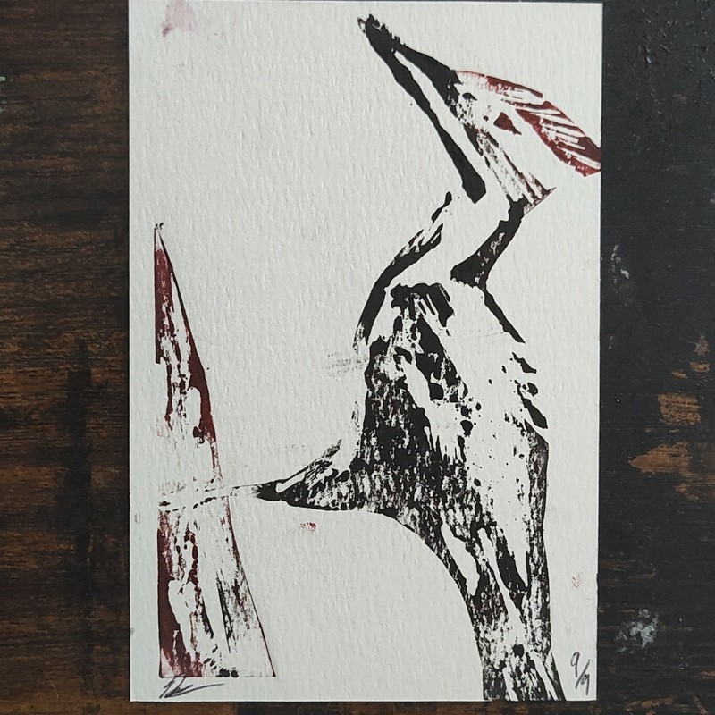 Art Bird Illustration Postcard Unposted Divided Back Modern (1970-Now) Paper