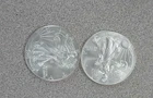 Lot of 2 American 1 oz. .999 Silver Eagles (022)