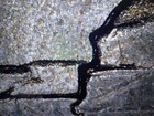 🔥🔥1990 P Jeff Nick W/  Rev Doub Bldg, Grease Err/Obv Rev,Struck Out Collar**** — photo 6