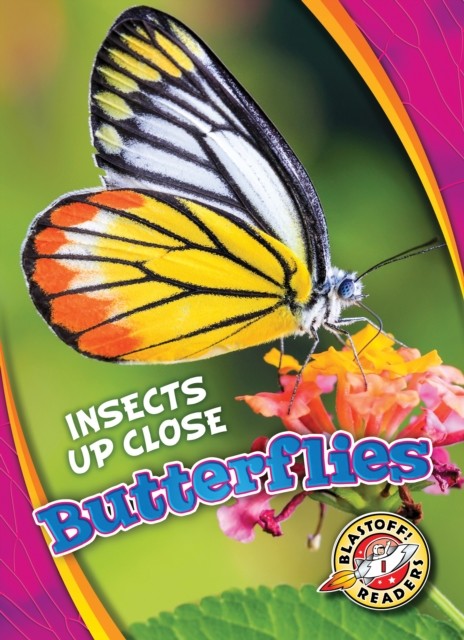 Butterflies by Christina Leaf (Hardback Book)