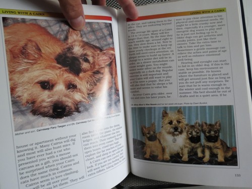 The Cairn Terrier By Christine Carter - Hardcover & Illustrated - Excellent Cond - Picture 9 of 12