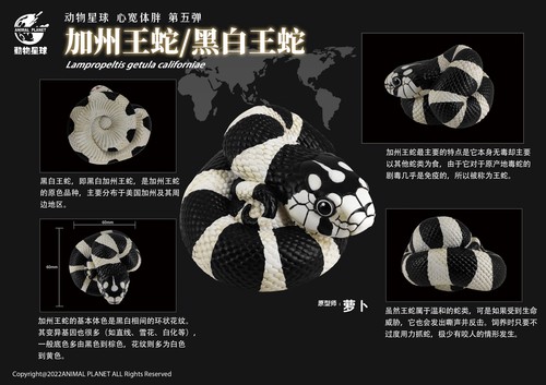 Animal Planet Laugh and Grow Fat 05 Snake Reptiles Animal Blind Box Figure Model - 第 10/14 張圖片