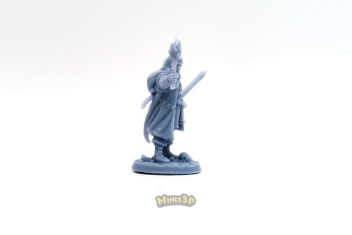 La comunidad del anillo SDLA - Minis3D - Picture 14 of 38