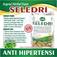 Capsules SELEDRI Herbes Naturelles Bio Épices Frais Pure Hygiénique Premium O...