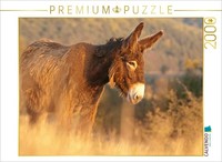 Calvendo Puzzle Poitou Esel Im Morgenlicht | 2000 Teile Lege-GrößE 90 × 67 Cm Fo