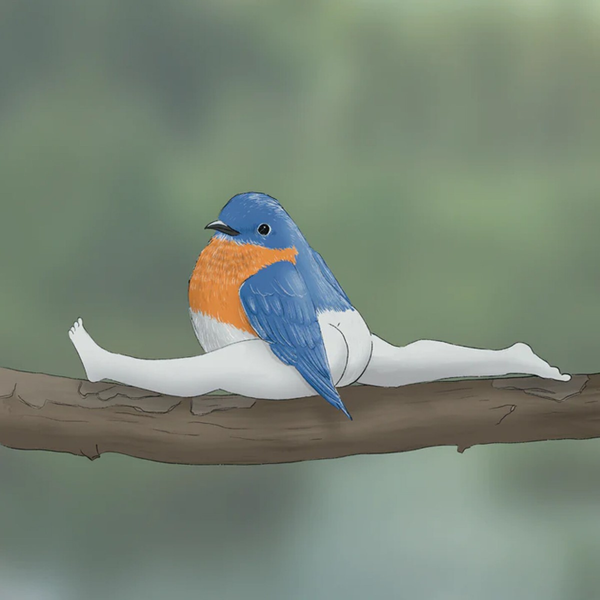 2024 CALENDAR OF EXTREMELY ACCURATE BIRDS Funny Calendar Wall Calendar |  eBay