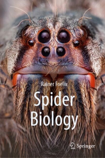 Spider Biology Rainer Foelix - Image 3
