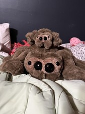 Two Jumping Spider Big And Medium Build A Bear