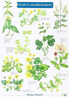 Richard Gulliver Mavis Gulliver Guide to Woodland Plants (Map)