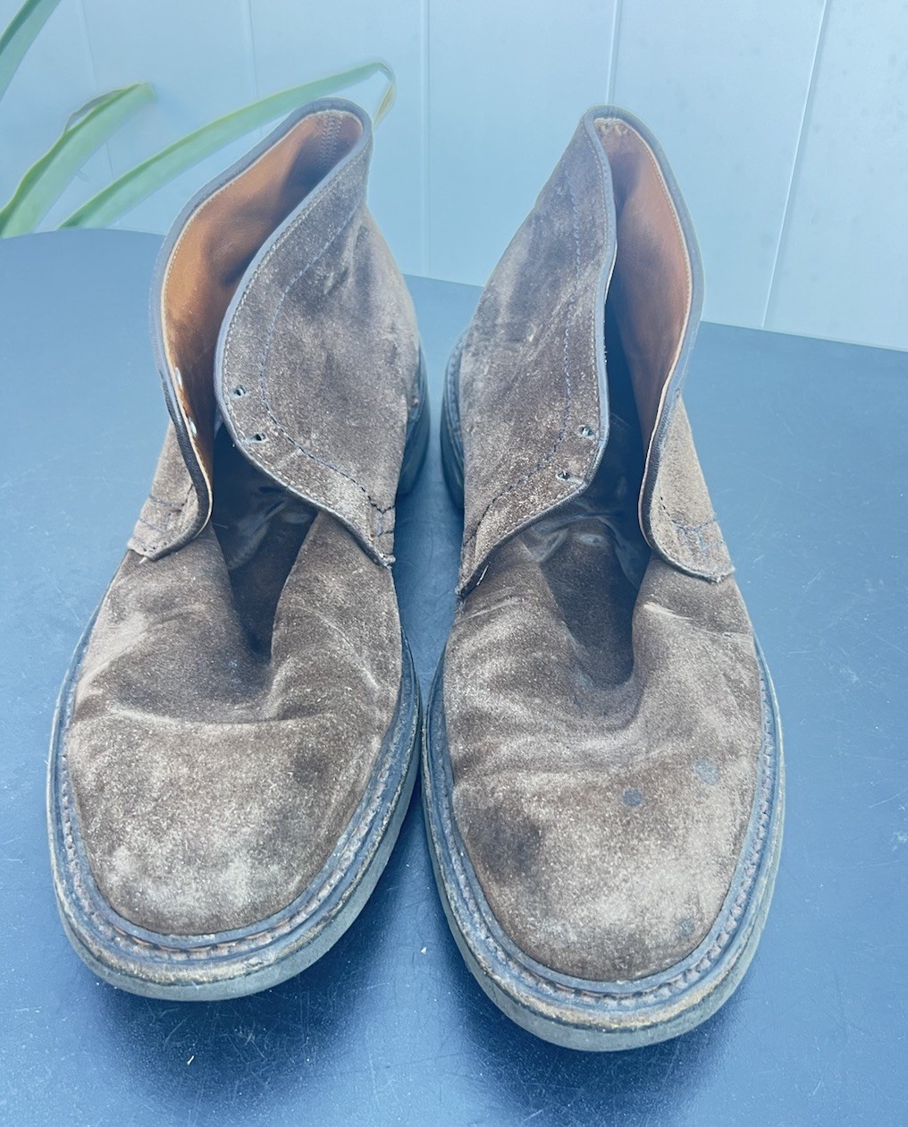 Alden 1273S Dark Brown Suede Chukka