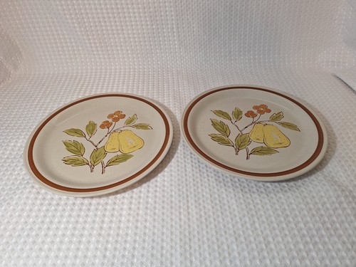 Vintage Steinzeug Morningside Herbst Abendessen 10,5" Teller Hellbraun Japan Set 2 - Bild 4 von 8