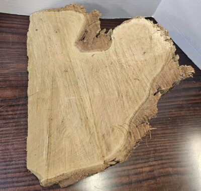 State Of Michigan Raw Black Locust Block Of Wood For Woodworker To Finish Decor