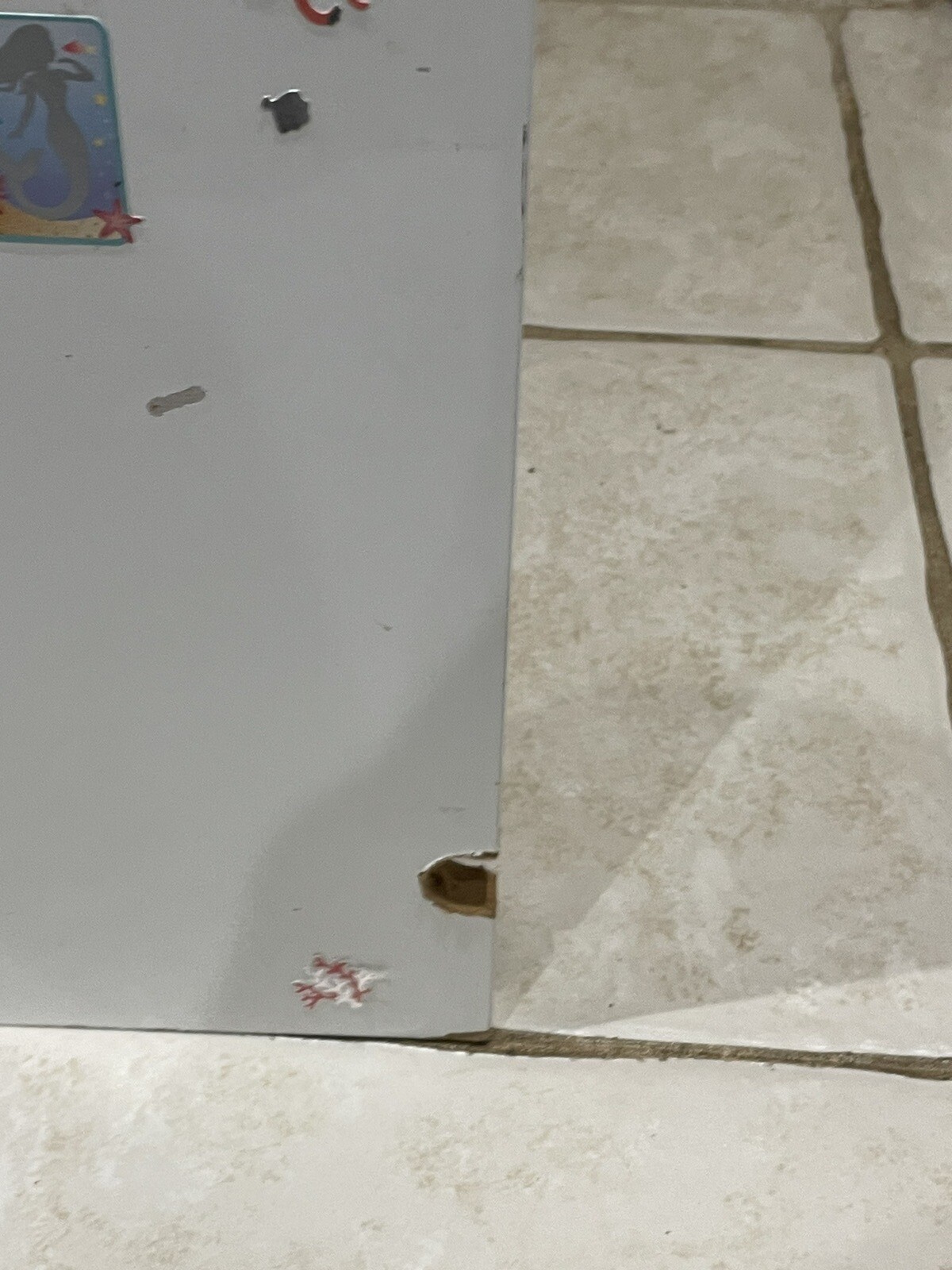 childrens bookcase eBay