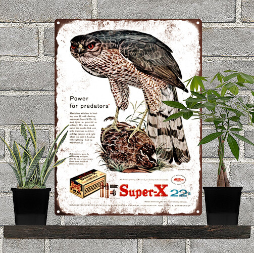 1958 WINCHESTER WESTERN Super-X .22 Ammunition Hawk Art Metal Sign 9x12
