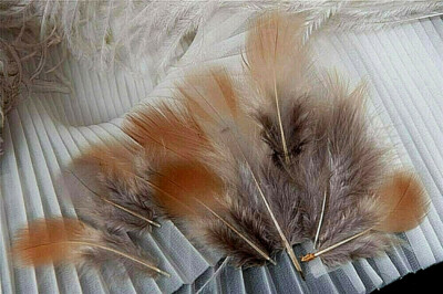 Beige Ivory Gray ''Mystery'' Pheasant Feathers Body Shoulder Plumage 20 Pc 3 1/2''