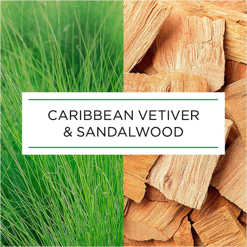 by Air Wick Automatic Spray Air Freshener Refill, Caribbean Vetiver & Sandalwood - Picture 5 of 8