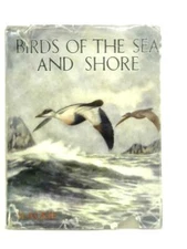 Birds of The Sea and Shore (Robert Aitchen) (ID:11815)