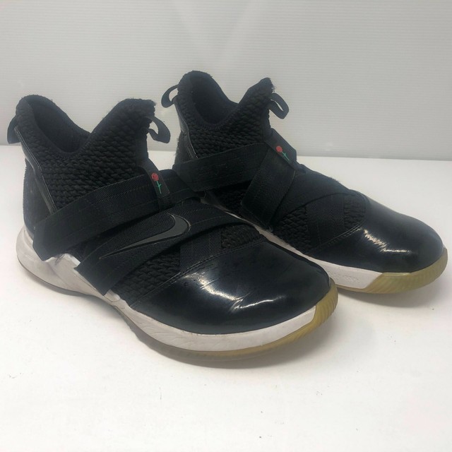lebron soldier 12 sfg