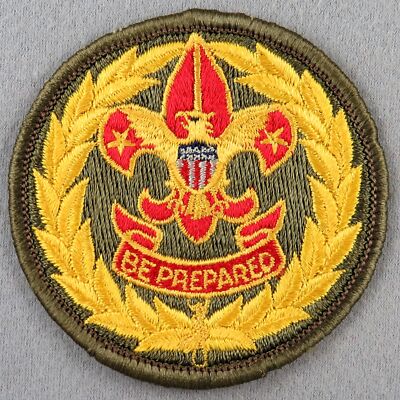 1960s BSA Assistant District Executive / Staff Rolled Edge GRN Bdr (MA603)