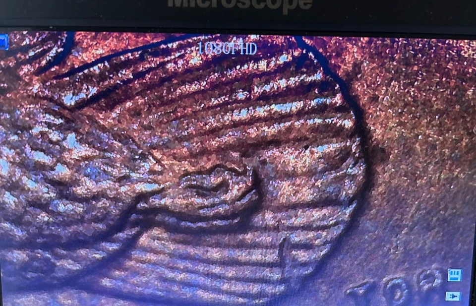 2000D- Sacagawea Dollar copper spots O&R - Image 4 of 4