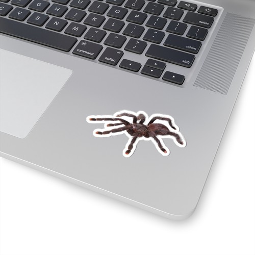 Creepy-Cute Pink Toe Spider Kiss-Cut Stickers | Perfect for Halloween, Laptop - Picture 3 of 4