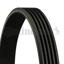 Continental CTAM 5PK1165 V-Ribbed Belt for Audi, BMW, Citroën, Fiat, Ford USA, Mazda,