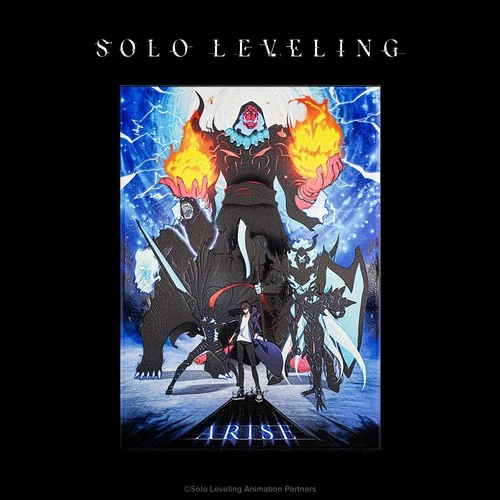 Displate Limited Edition, Solo Leveling: x/1000 - Arise - Metal, Glows - New