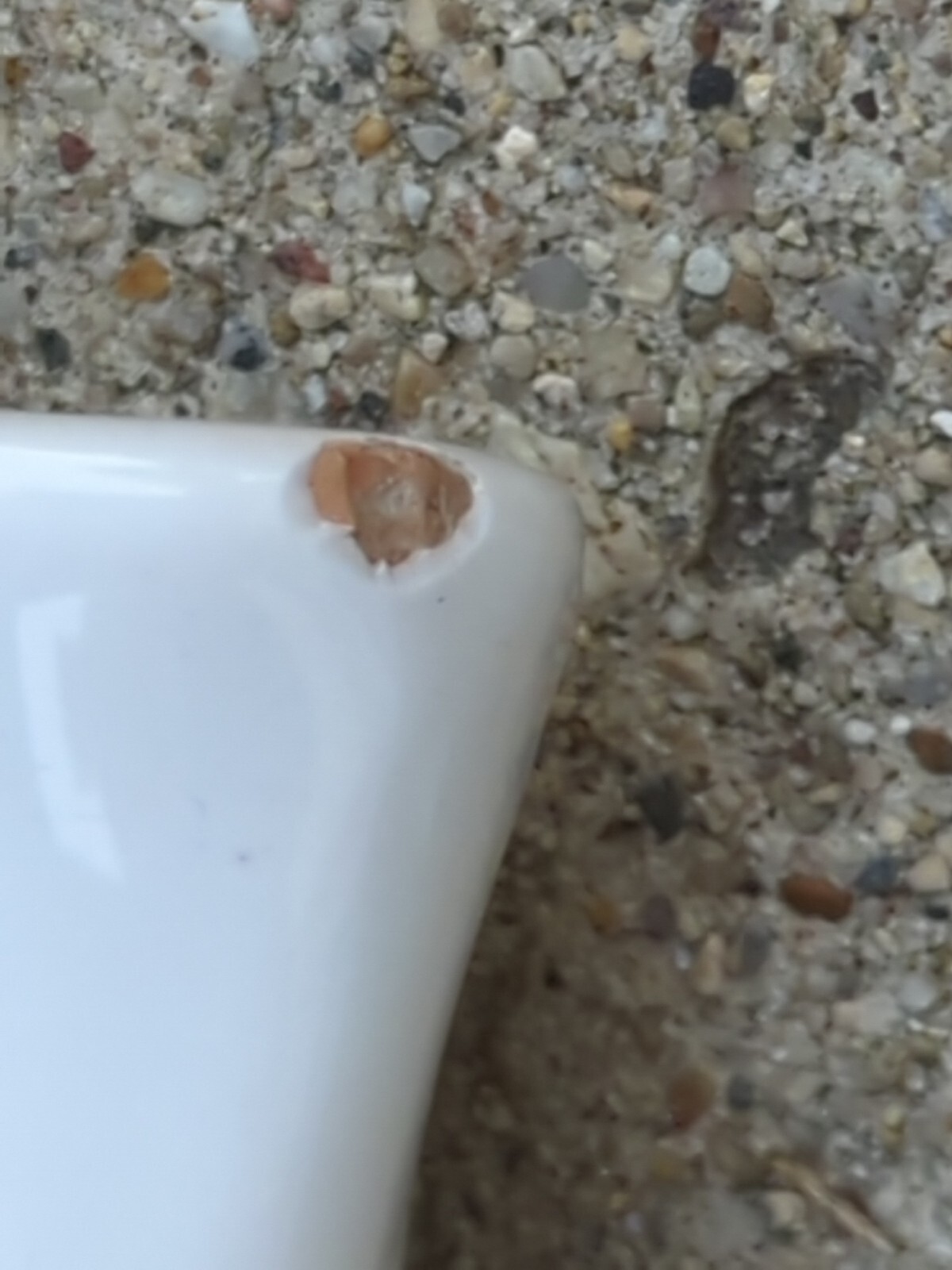 Vintage Christmas Tree Shaped Tidbit Snack Tray Dish Hand Painted Ceramic Italy