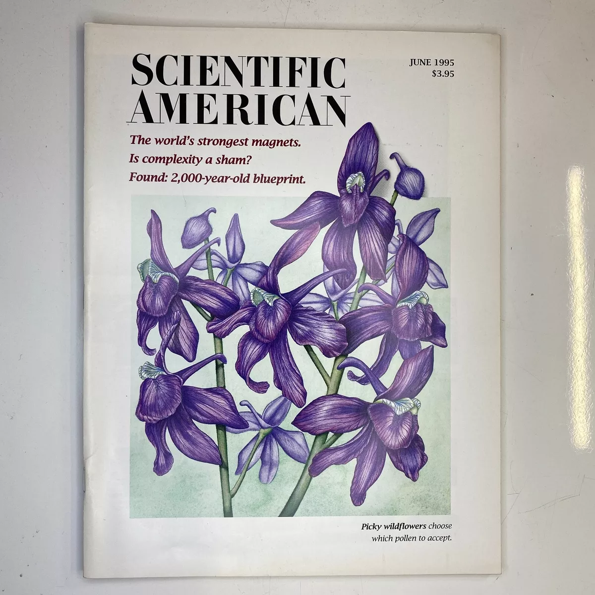 Scientific American 1995 June Picky Wildflower Hookworm Halo