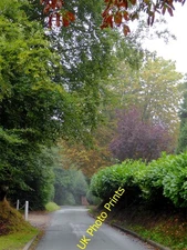 Photo 6x4 The Lane to Lower Penn, Staffordshire This is Springhill Lane,  c2016