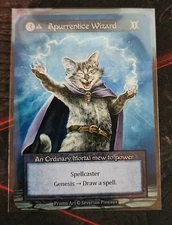Sorcery TCG Non-Foil Apurrentice Wizard Welcome Kit Promo