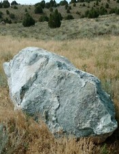NEPHRITE / JADE from WYOMING - 11,600 POUND BOULDER - UNCUT WYOMING GREEN