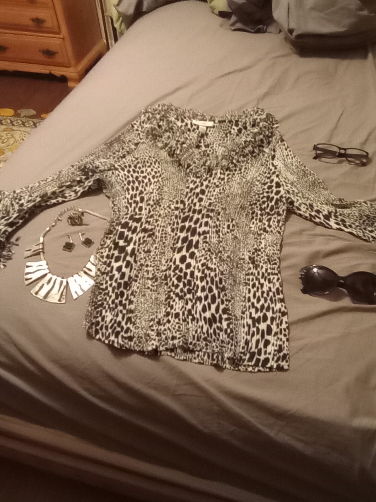 Plus Zebra shirt w/ accessories (glasses, sunglasses, necklace, earrings, ring)
