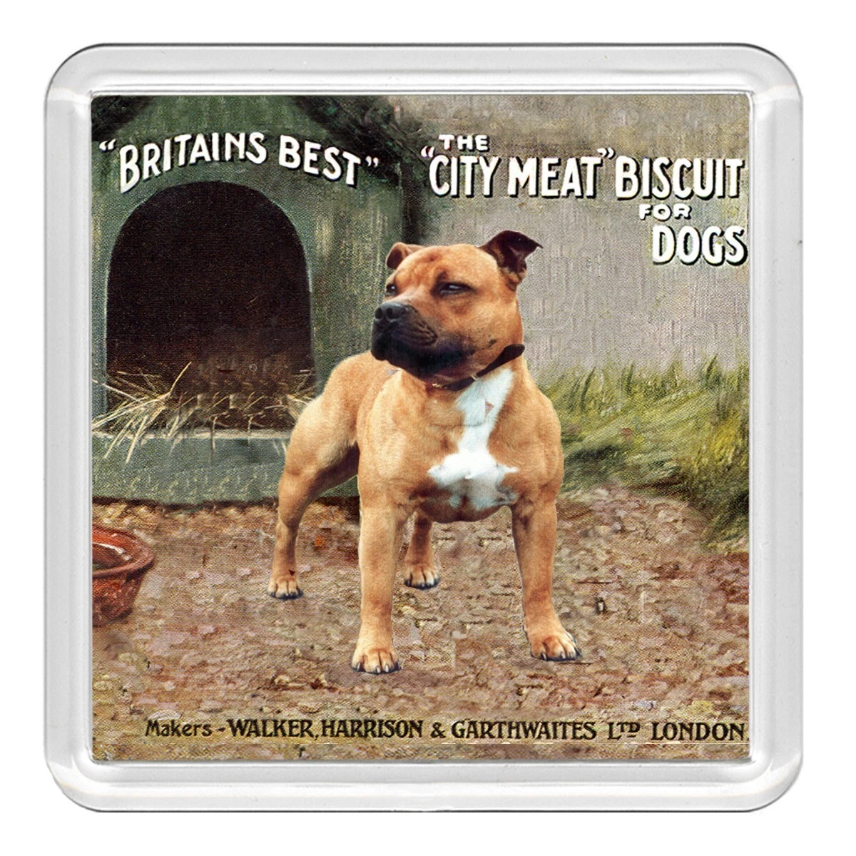 Staffordshire bull hotsell terrier food